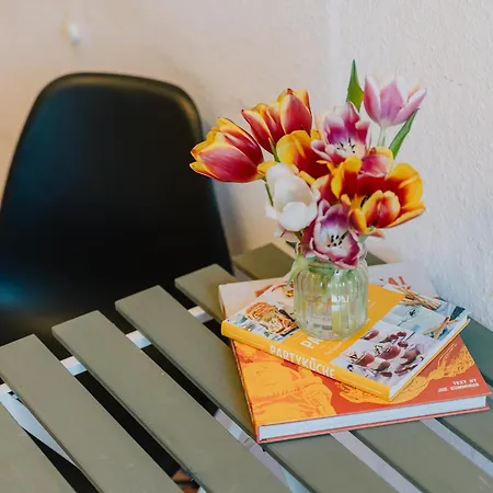 Apartamento Gemütliche Rheinblick Residenz Coblenza