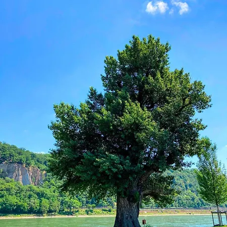 Daire Gemuetliche Rheinblick Residenz Koblenz (Rhineland-Palatinate)