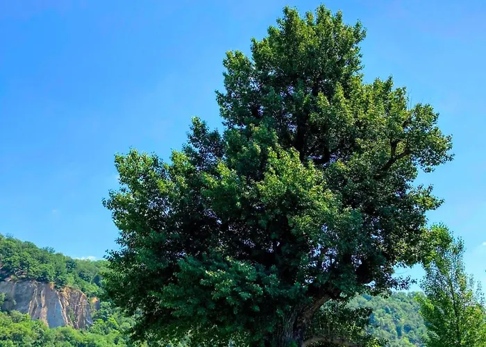 Lägenhet Gemuetliche Rheinblick Residenz Koblenz (Rhineland-Palatinate)
